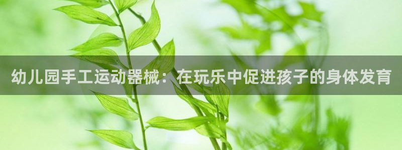 凯时登录:幼儿园手工运动器械:在玩乐中促进孩子的身体发育