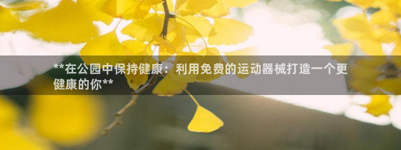 凯时国际娱乐官方网址:**在公园中保持健康:利用免费的运动器