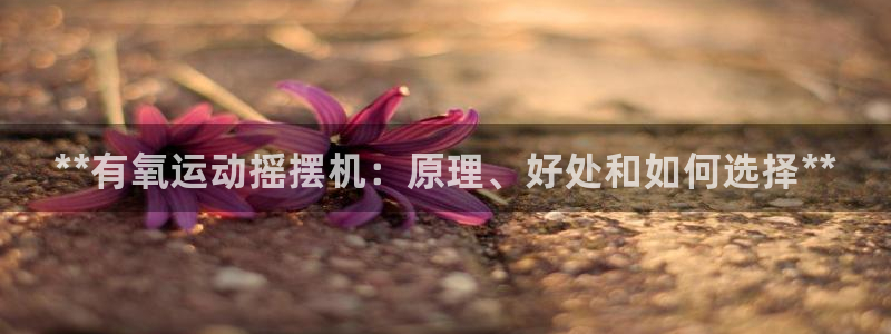 尊龙官方网站首页:**有氧运动摇摆机:原理、好处和如何选择*